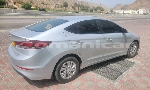 Buy Used Hyundai Elantra Other Car in Khasab in Musandam Buy Used Hyundai Elantra Other Car in Khasab in Musandam
