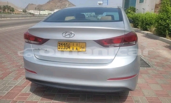Buy Used Hyundai Elantra Other Car in Khasab in Musandam Buy Used Hyundai Elantra Other Car in Khasab in Musandam