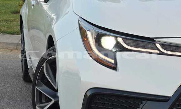 Buy Used Toyota Corolla White Car in Muscat in Masqat Buy Used Toyota Corolla White Car in Muscat in Masqat