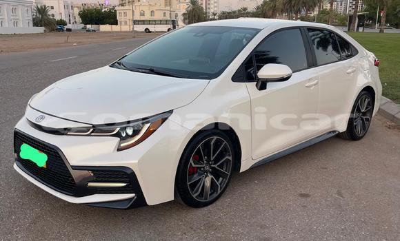 Buy Used Toyota Corolla White Car in Muscat in Masqat Buy Used Toyota Corolla White Car in Muscat in Masqat