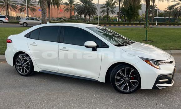 Buy Used Toyota Corolla White Car in Muscat in Masqat Buy Used Toyota Corolla White Car in Muscat in Masqat