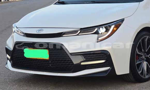 Buy Used Toyota Corolla White Car in Muscat in Masqat Buy Used Toyota Corolla White Car in Muscat in Masqat
