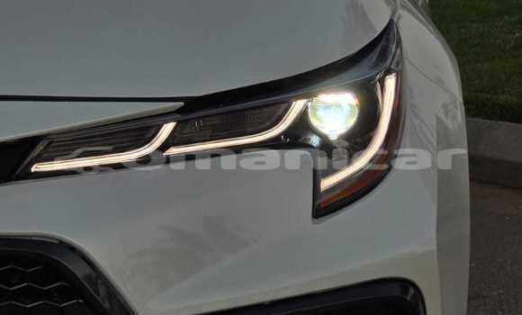 Buy Used Toyota Corolla White Car in Muscat in Masqat Buy Used Toyota Corolla White Car in Muscat in Masqat