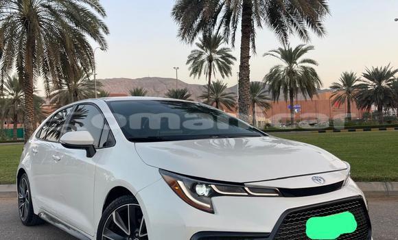 Buy Used Toyota Corolla White Car in Muscat in Masqat Buy Used Toyota Corolla White Car in Muscat in Masqat