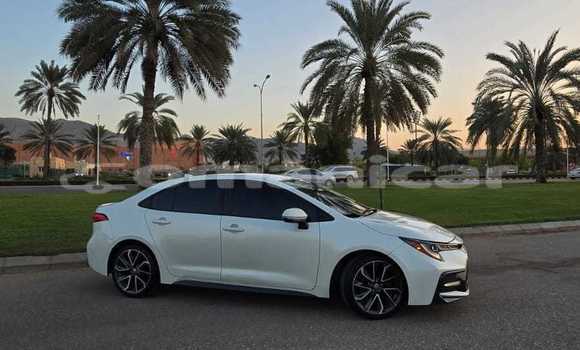 Buy Used Toyota Corolla White Car in Muscat in Masqat Buy Used Toyota Corolla White Car in Muscat in Masqat