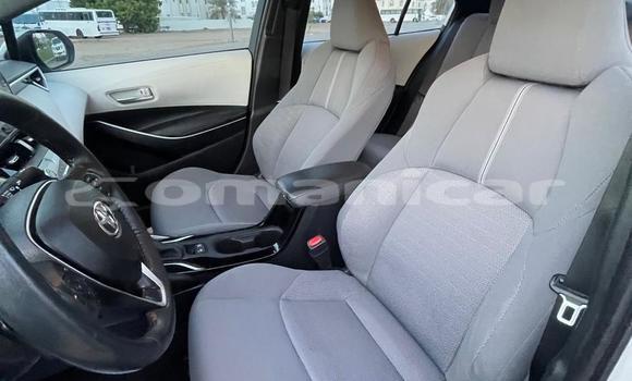 Buy Used Toyota Corolla White Car in Muscat in Masqat Buy Used Toyota Corolla White Car in Muscat in Masqat