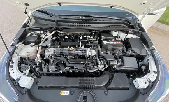 Buy Used Toyota Corolla White Car in Muscat in Masqat Buy Used Toyota Corolla White Car in Muscat in Masqat