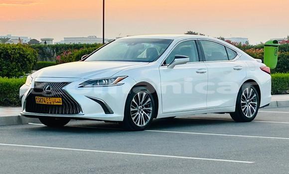 Buy Import Lexus ES White Car in Muscat in Masqat Buy Import Lexus ES White Car in Muscat in Masqat
