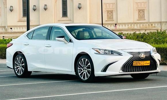 Buy Import Lexus ES White Car in Muscat in Masqat Buy Import Lexus ES White Car in Muscat in Masqat