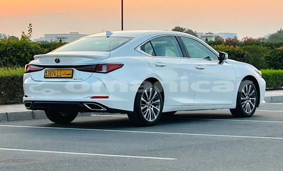 Buy Import Lexus ES White Car in Muscat in Masqat Buy Import Lexus ES White Car in Muscat in Masqat