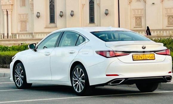 Buy Import Lexus ES White Car in Muscat in Masqat Buy Import Lexus ES White Car in Muscat in Masqat