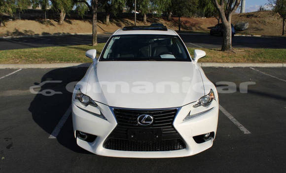 Buy Used Lexus IS White Car in Muscat in Masqat Buy Used Lexus IS White Car in Muscat in Masqat