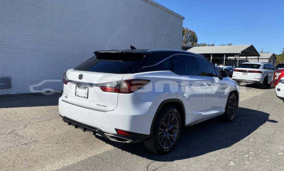 Buy Used Lexus RX 350 White Car in Muscat in Masqat Buy Used Lexus RX 350 White Car in Muscat in Masqat