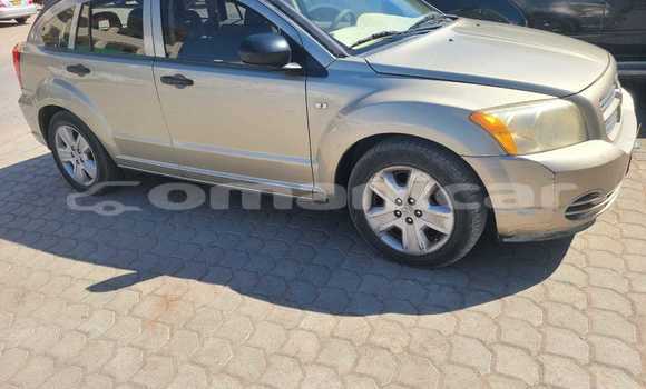 Buy Used Dodge Caliber Other Car in Masqat in Masqat Buy Used Dodge Caliber Other Car in Masqat in Masqat
