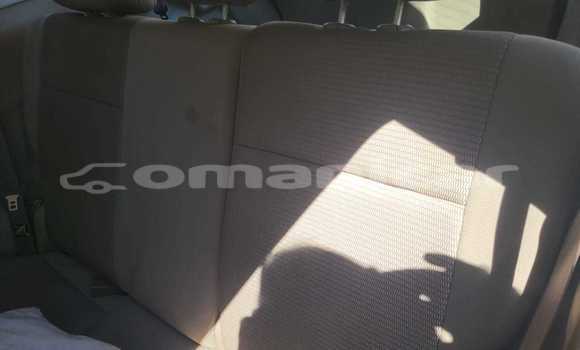 Buy Used Dodge Caliber Other Car in Masqat in Masqat Buy Used Dodge Caliber Other Car in Masqat in Masqat