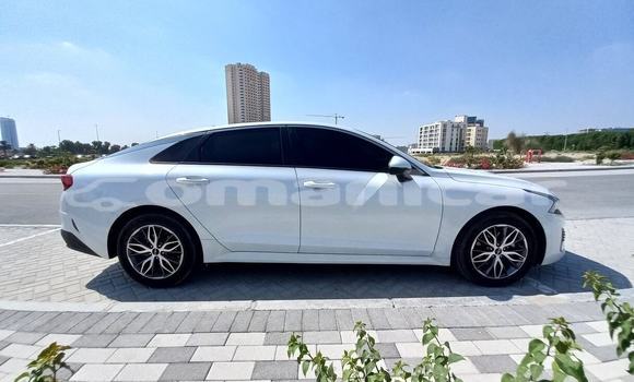 Buy Used Kia K5 White Car in Muscat in Masqat Buy Used Kia K5 White Car in Muscat in Masqat