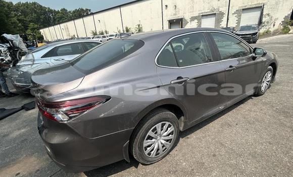 Buy Import Toyota Camry Silver Car in Masqat in Masqat Buy Import Toyota Camry Silver Car in Masqat in Masqat
