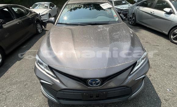 Buy Import Toyota Camry Silver Car in Masqat in Masqat Buy Import Toyota Camry Silver Car in Masqat in Masqat