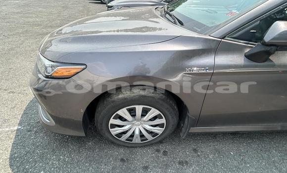 Buy Import Toyota Camry Silver Car in Masqat in Masqat Buy Import Toyota Camry Silver Car in Masqat in Masqat