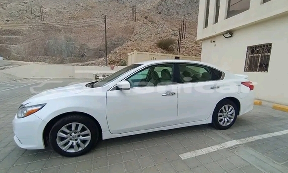 Buy Used Nissan Altima White Car in as–Suwayq in al-Batinah Buy Used Nissan Altima White Car in as–Suwayq in al-Batinah