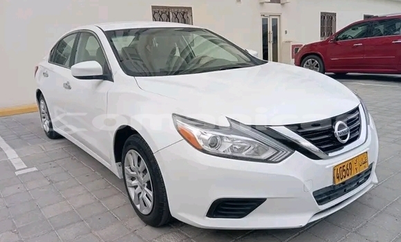 Buy Used Nissan Altima White Car in as–Suwayq in al-Batinah Buy Used Nissan Altima White Car in as–Suwayq in al-Batinah