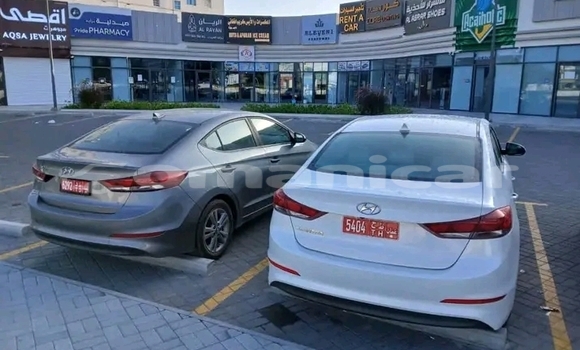 Buy Used BMW 3er Other Car in Muscat in Masqat Buy Used BMW 3er Other Car in Muscat in Masqat