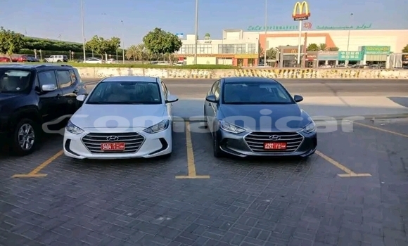 Buy Used BMW 3er Other Car in Muscat in Masqat Buy Used BMW 3er Other Car in Muscat in Masqat