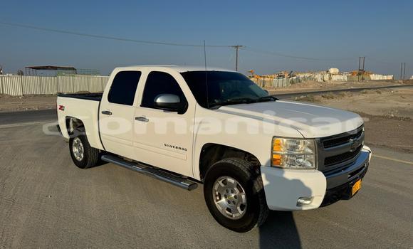 Buy Used Chevrolet Silverado White Car in Muscat in Masqat
