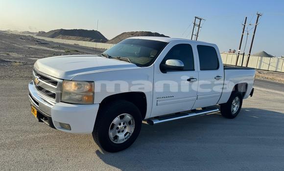 Buy Used Chevrolet Silverado White Car in Muscat in Masqat Buy Used Chevrolet Silverado White Car in Muscat in Masqat