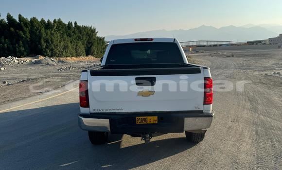 Buy Used Chevrolet Silverado White Car in Muscat in Masqat Buy Used Chevrolet Silverado White Car in Muscat in Masqat