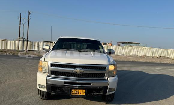 Buy Used Chevrolet Silverado White Car in Muscat in Masqat Buy Used Chevrolet Silverado White Car in Muscat in Masqat