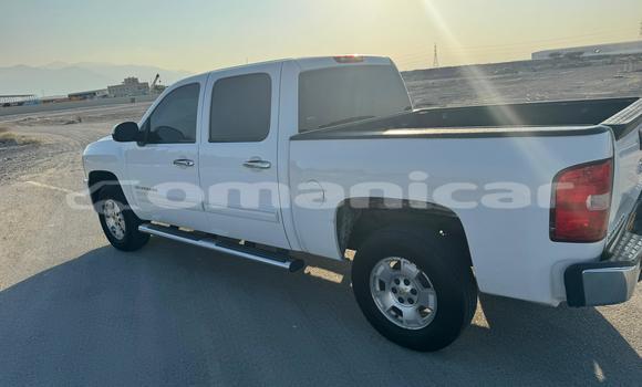 Buy Used Chevrolet Silverado White Car in Muscat in Masqat Buy Used Chevrolet Silverado White Car in Muscat in Masqat