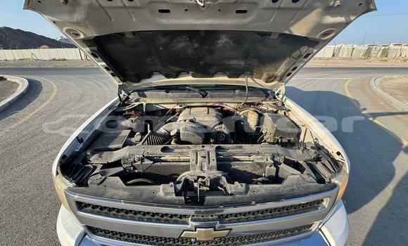 Buy Used Chevrolet Silverado White Car in Muscat in Masqat Buy Used Chevrolet Silverado White Car in Muscat in Masqat