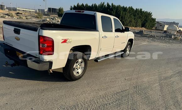 Buy Used Chevrolet Silverado White Car in Muscat in Masqat Buy Used Chevrolet Silverado White Car in Muscat in Masqat