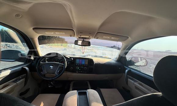 Buy Used Chevrolet Silverado White Car in Muscat in Masqat Buy Used Chevrolet Silverado White Car in Muscat in Masqat