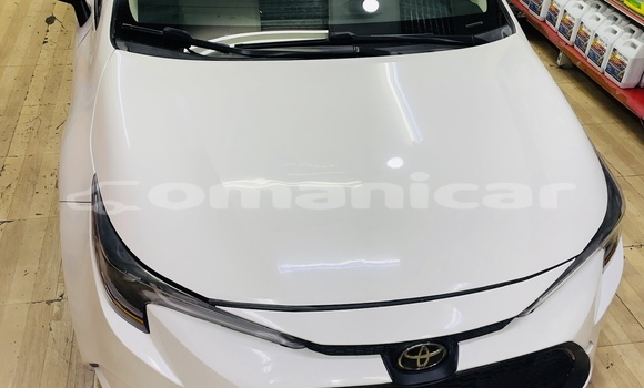 Buy Used Toyota Corolla White Car in Bawshar in Masqat Buy Used Toyota Corolla White Car in Bawshar in Masqat