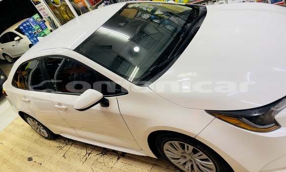 Buy Used Toyota Corolla White Car in Bawshar in Masqat Buy Used Toyota Corolla White Car in Bawshar in Masqat
