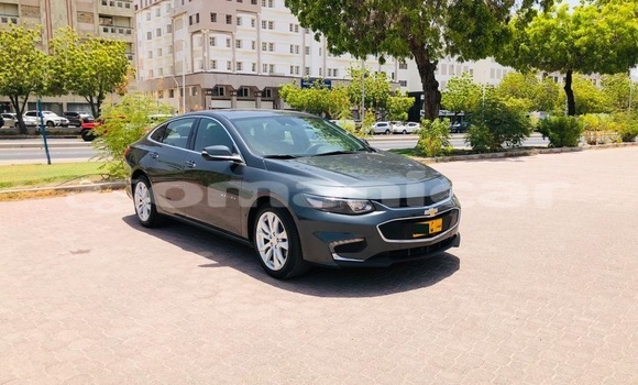 Buy Used Chevrolet Malibu Other Car in Muscat in Masqat Buy Used Chevrolet Malibu Other Car in Muscat in Masqat