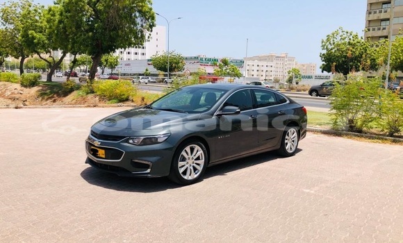 Buy Used Chevrolet Malibu Other Car in Muscat in Masqat Buy Used Chevrolet Malibu Other Car in Muscat in Masqat