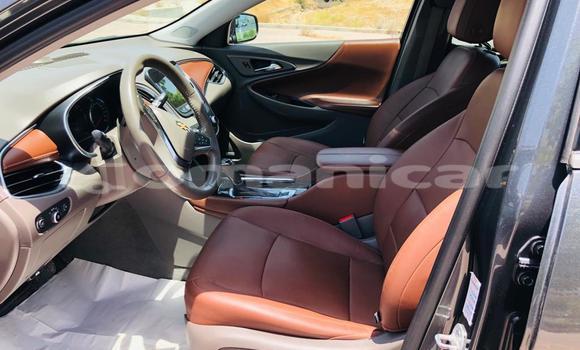 Buy Used Chevrolet Malibu Other Car in Muscat in Masqat Buy Used Chevrolet Malibu Other Car in Muscat in Masqat