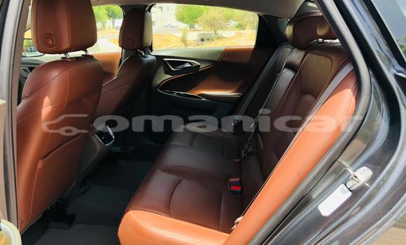 Buy Used Chevrolet Malibu Other Car in Muscat in Masqat Buy Used Chevrolet Malibu Other Car in Muscat in Masqat