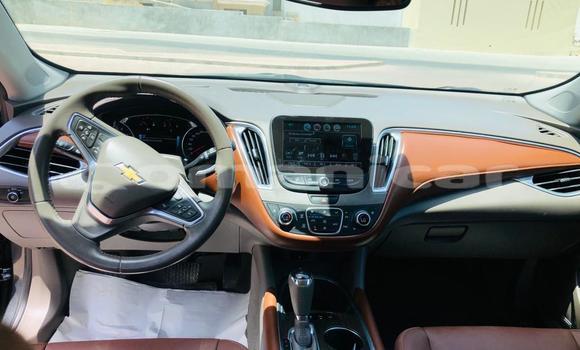 Buy Used Chevrolet Malibu Other Car in Muscat in Masqat Buy Used Chevrolet Malibu Other Car in Muscat in Masqat