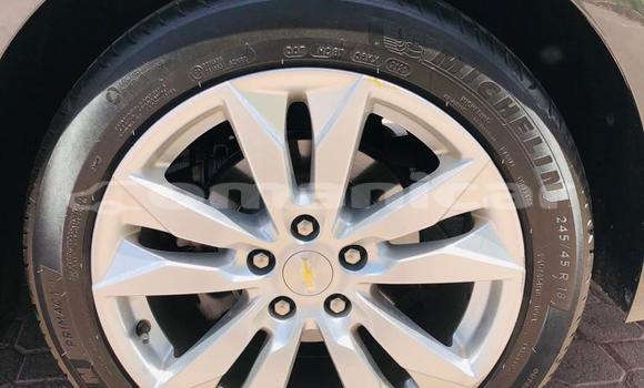 Buy Used Chevrolet Malibu Other Car in Muscat in Masqat Buy Used Chevrolet Malibu Other Car in Muscat in Masqat