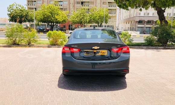 Buy Used Chevrolet Malibu Other Car in Muscat in Masqat Buy Used Chevrolet Malibu Other Car in Muscat in Masqat
