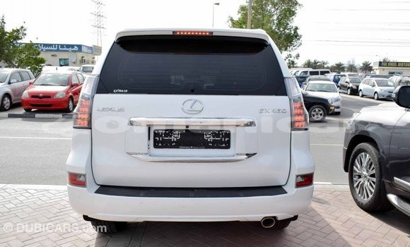 Buy Import Lexus GX White Car in Import - Dubai in Dhufar Buy Import Lexus GX White Car in Import - Dubai in Dhufar