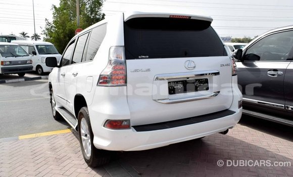 Buy Import Lexus GX White Car in Import - Dubai in Dhufar Buy Import Lexus GX White Car in Import - Dubai in Dhufar