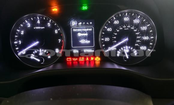 Buy Used Hyundai Elantra Black Car in Al khuwair in al-Batinah Buy Used Hyundai Elantra Black Car in Al khuwair in al-Batinah