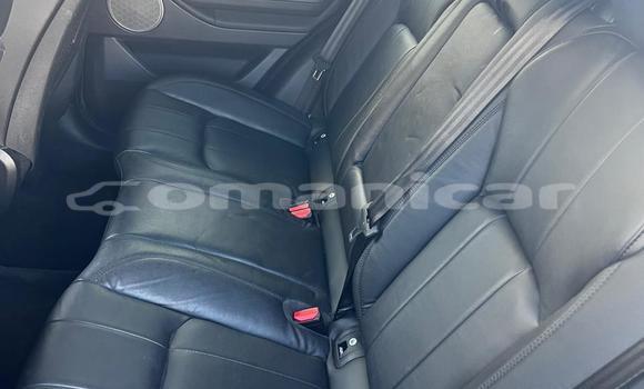 Buy Used Range Rover Evoque Other Car in Muscat in Masqat Buy Used Range Rover Evoque Other Car in Muscat in Masqat