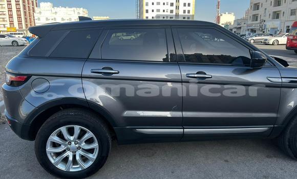 Buy Used Range Rover Evoque Other Car in Muscat in Masqat Buy Used Range Rover Evoque Other Car in Muscat in Masqat