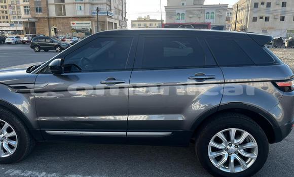 Buy Used Range Rover Evoque Other Car in Muscat in Masqat Buy Used Range Rover Evoque Other Car in Muscat in Masqat